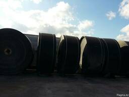 Транспортерная лента Phoenix