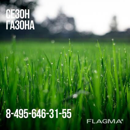 Травосмесь газонная Теневая