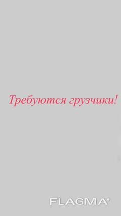 Требуются грузчики
