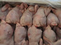 Реализуем куриную продукцию.