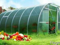 "Удачная Стандарт" - поликарбонатная теплица 6 мм