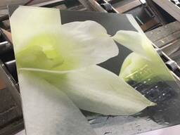 Уф печать на стекле, пластике, фанере, камне(шрифт Брайля)