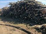 Уголь древесный - фото 1