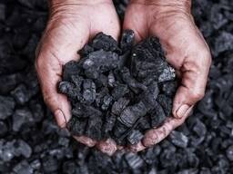 Уголь Каражар