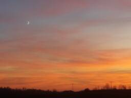 Уголь марки Д