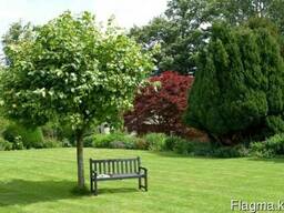 Укладка газона