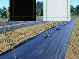 Укрывной материал для почвы (Агроткань застилочная) мульча от сорняков - фото 3