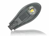 Уличный светодиодный светильник кобра LP-30W (220V, 30W, 6000K) (Мощность, Вт: 30) - фото 1