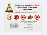Уничтожение ос - фото 1