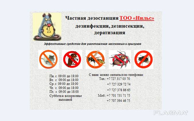 Уничтожение ос