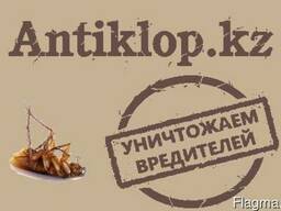 Уничтожение постельных клопов в Алматы