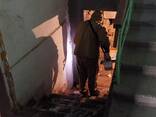 Уничтожение тараканов, клопов, крыс и мышей и прочих вредителей - photo 3
