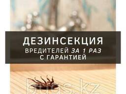 Уничтожение тараканов в квартирах и домах