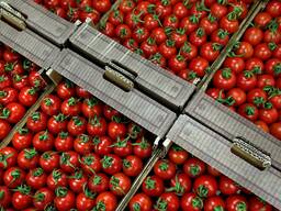 Упаковка для пищевой продукции