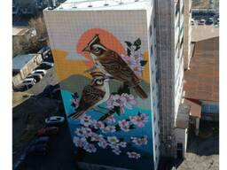 Услуга по росписи стен здания