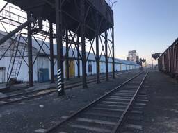 Услуги элеватора, склады, жд тупика