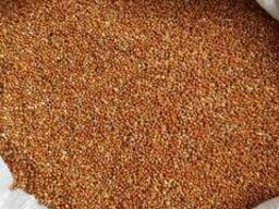 Услуги очистки вороха на ОВС и фотосепаратором