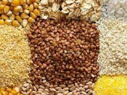 Услуги по фасовке и упаковке