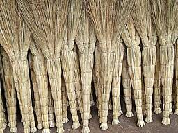 Веник сорго