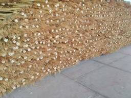 Веники согро оптом от производителя