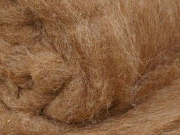 Верблюжья шерсть