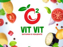 Vit-Vit” и “Navi”