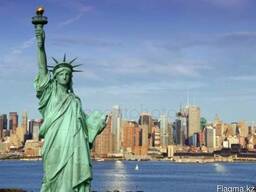 Виза в Америку