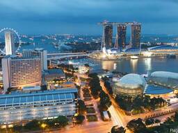 Визы Сингапур