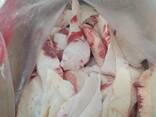 Внутренний жир HALAL от производителя АЛЕКСАНДРОВ из Беларусь с доставкой в Казахстан - photo 2