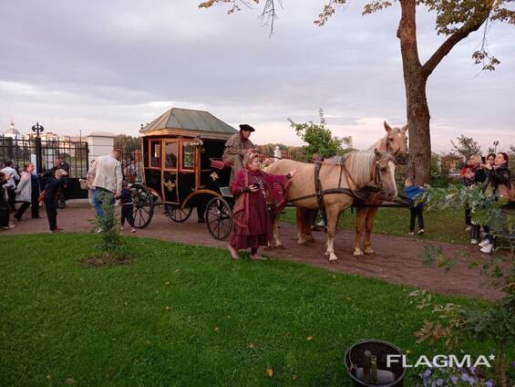 Возьмём Новогоднюю Карету В Аренду!!!