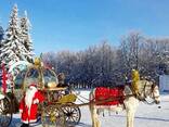 Возьмём Новогоднюю Карету В Аренду!!! - photo 9