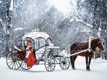 Возьмём Новогоднюю Карету В Аренду!!! - photo 11