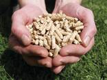 Wood pellet - photo 3