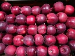 Яблоки