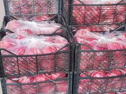 Яблоки из ирана