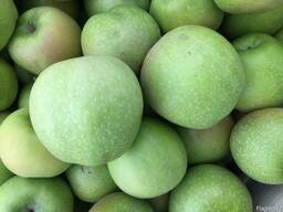 Продам яблоки