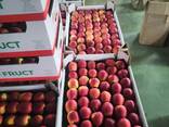 Яблоки и груши из Польши - photo 8