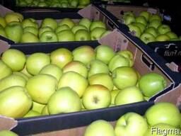 Яблоки оптом
