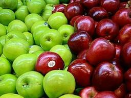 Яблоки оптом