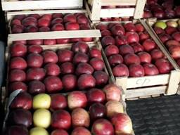 Яблоки с доставкой на дом