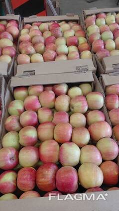 Яблоко фуджи