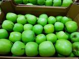 Яблоко Мутсу (Mutsu) from Poland - фото 1