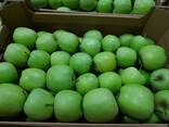 Яблоко Мутсу (Mutsu) from Poland - photo 6