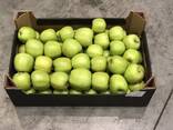 Яблоко Poland / Голден, Ред Принц, Гала - фото 3