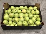 Яблоко Poland / Голден, Ред Принц, Гала - photo 6