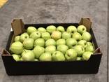 Яблоко Poland / Голден, Ред Принц, Гала - photo 7