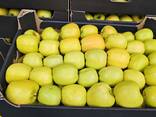 Яблоко сорта Голден - photo 2