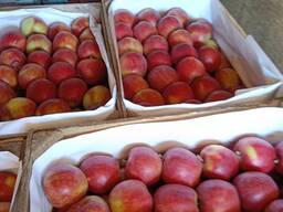 Яблоко свежее в ассортименте