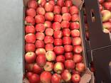 Яблоко свежее в ассортименте - photo 1