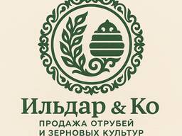 Ячмень